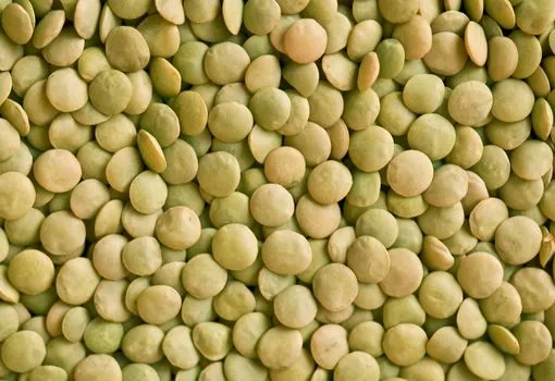 Yeşil Mercimekte Gluten Var Mı?